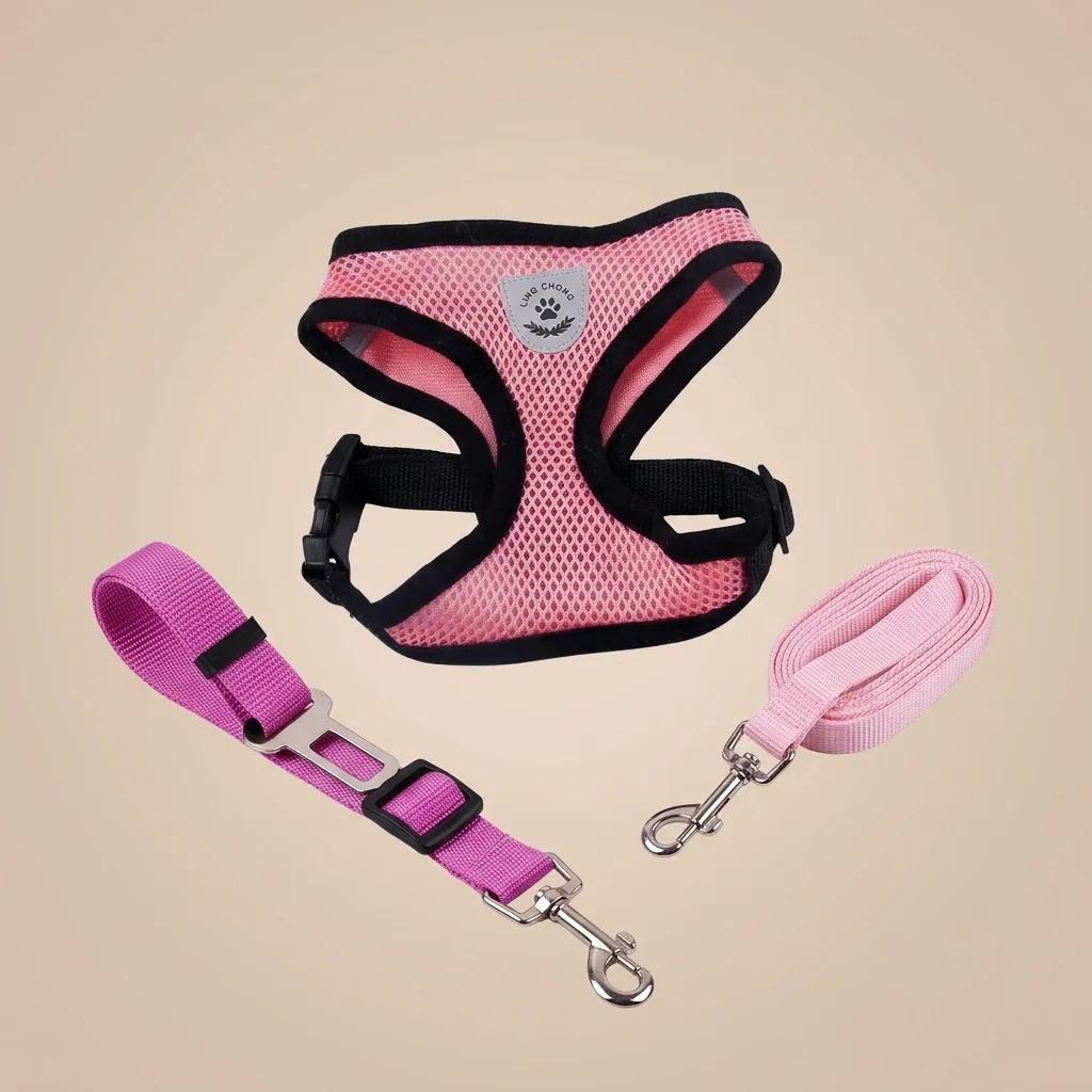 Harnais en Mesh Respirant pour Chien avec Laisse et Attache de Ceinture image 4